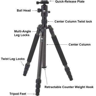 Tripod Diagram